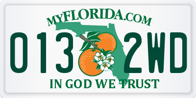 FL license plate 0132WD