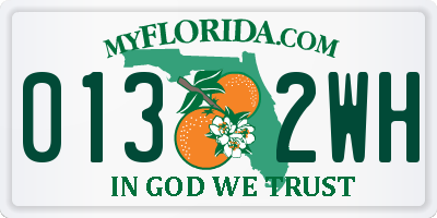 FL license plate 0132WH