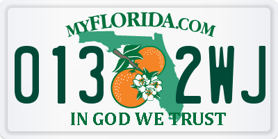 FL license plate 0132WJ
