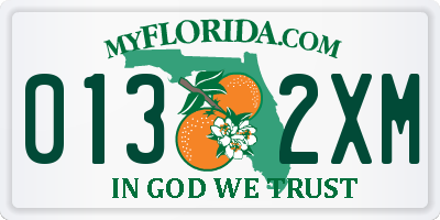 FL license plate 0132XM