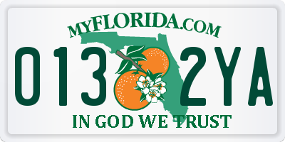 FL license plate 0132YA