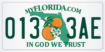 FL license plate 0133AE