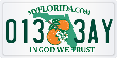 FL license plate 0133AY