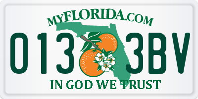 FL license plate 0133BV