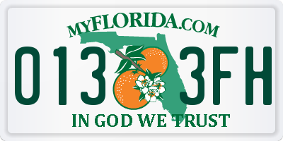 FL license plate 0133FH