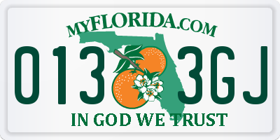 FL license plate 0133GJ