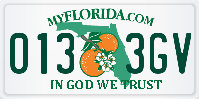 FL license plate 0133GV