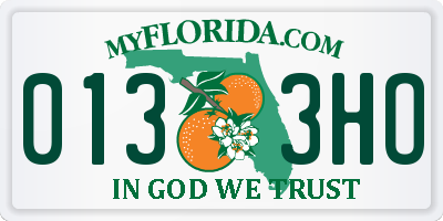 FL license plate 0133HO