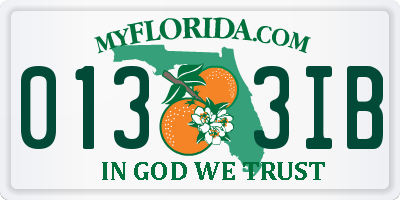 FL license plate 0133IB