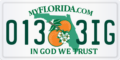 FL license plate 0133IG