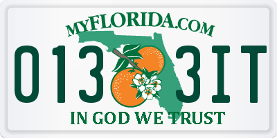 FL license plate 0133IT