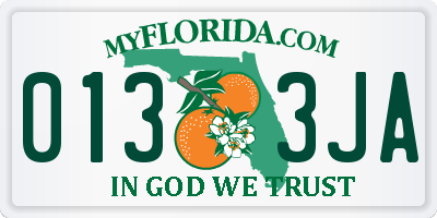 FL license plate 0133JA