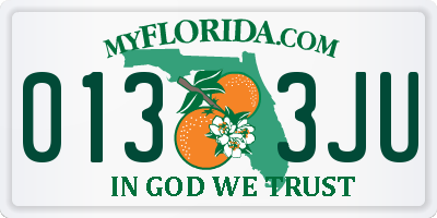 FL license plate 0133JU