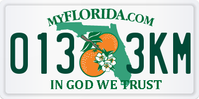 FL license plate 0133KM