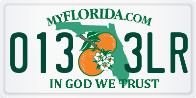 FL license plate 0133LR