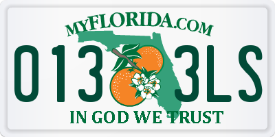 FL license plate 0133LS