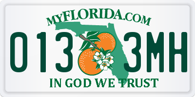 FL license plate 0133MH