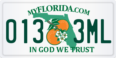 FL license plate 0133ML
