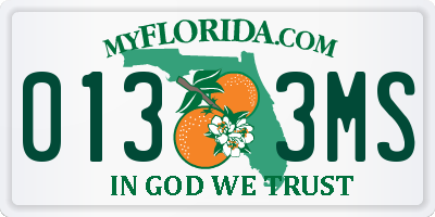 FL license plate 0133MS