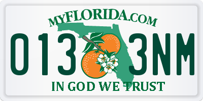 FL license plate 0133NM