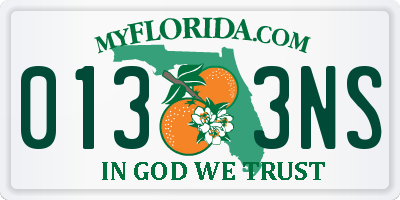 FL license plate 0133NS