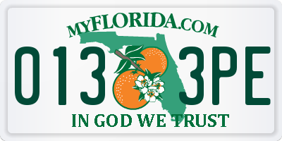 FL license plate 0133PE