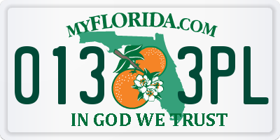 FL license plate 0133PL