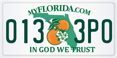 FL license plate 0133PO