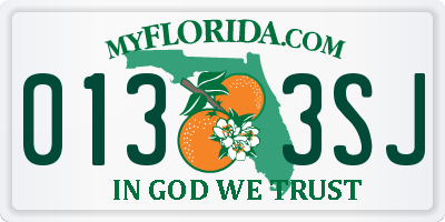 FL license plate 0133SJ