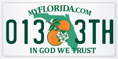 FL license plate 0133TH