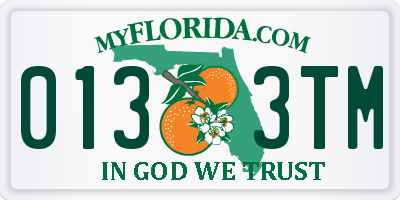 FL license plate 0133TM