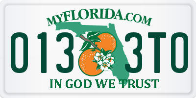 FL license plate 0133TO