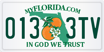 FL license plate 0133TV