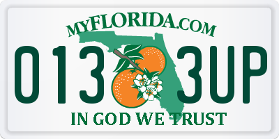FL license plate 0133UP
