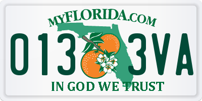 FL license plate 0133VA