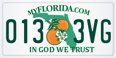 FL license plate 0133VG