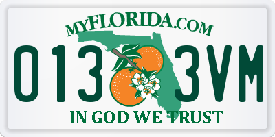 FL license plate 0133VM