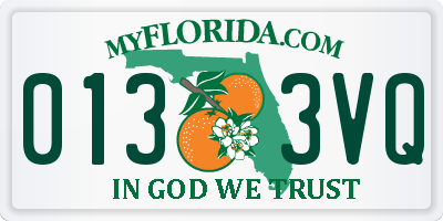 FL license plate 0133VQ