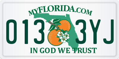 FL license plate 0133YJ