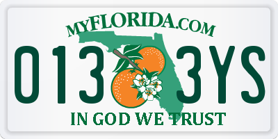 FL license plate 0133YS