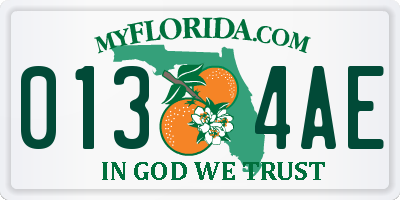 FL license plate 0134AE