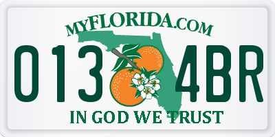 FL license plate 0134BR