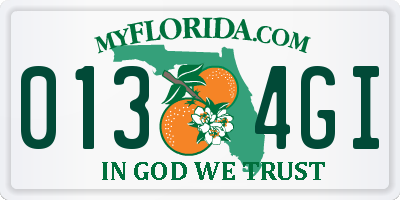 FL license plate 0134GI