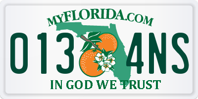 FL license plate 0134NS
