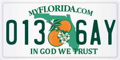 FL license plate 0136AY