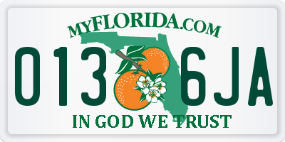 FL license plate 0136JA