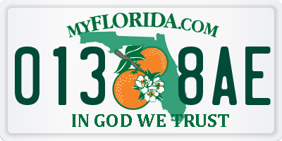 FL license plate 0138AE