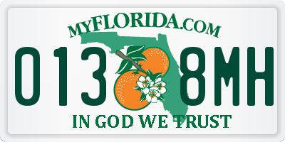 FL license plate 0138MH