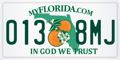 FL license plate 0138MJ