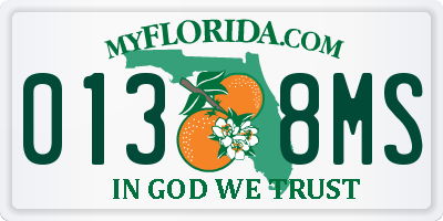 FL license plate 0138MS